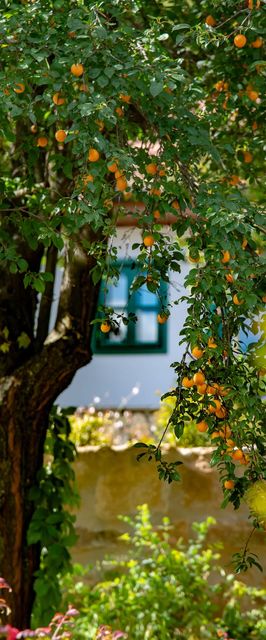 Alsópetényi Vendégházak Alsópetény