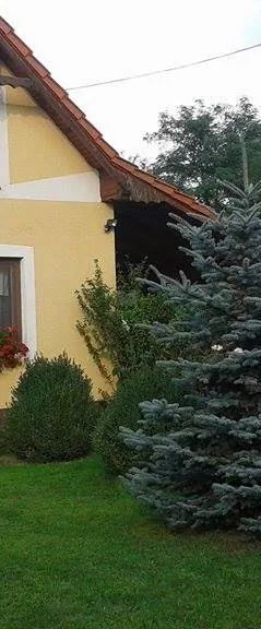 Éva Lak Kiskunmajsa