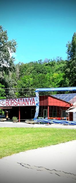 Borsatanya Balatonkenese