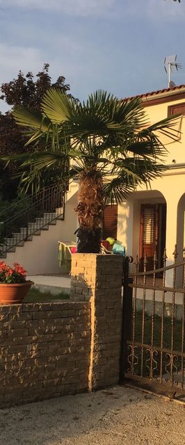 Apartments Matea Poreč