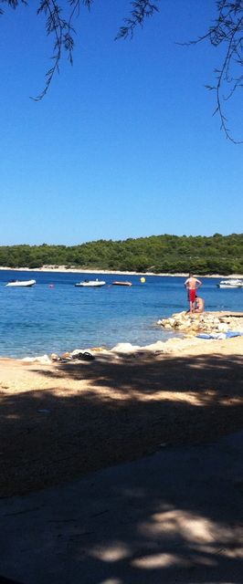 Apartman Labor Ždrelac