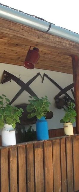 Nefelejcs Vendégház Diósviszló