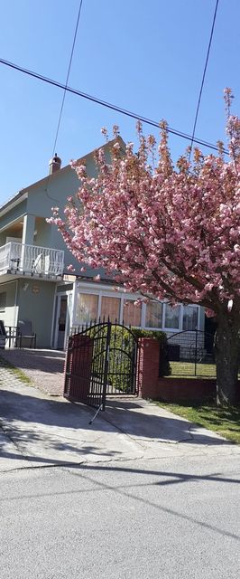 XXL Apartman Zalakaros