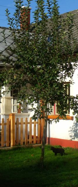 Csutora Vendégház Vasvár