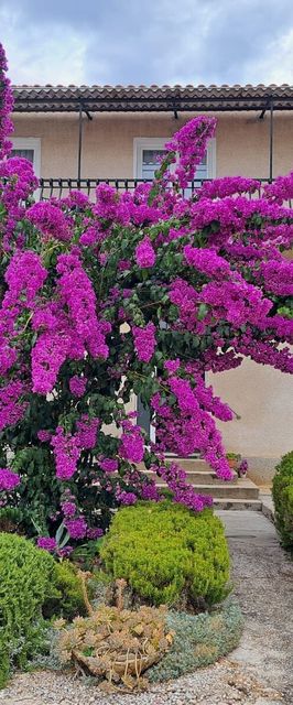 Apartman Zorić Biograd na Moru