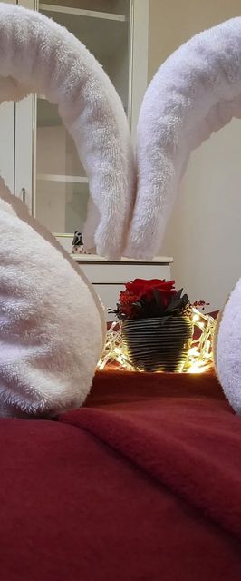 Béke Apartman Fonyód