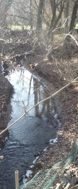 Kikerics Erdei Szálláshely és Turistapihenő Zebegény
