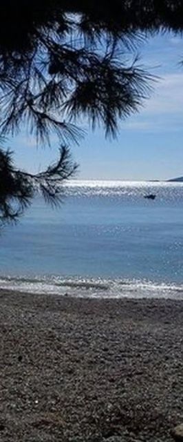 Apartmani Bogdan Orebić