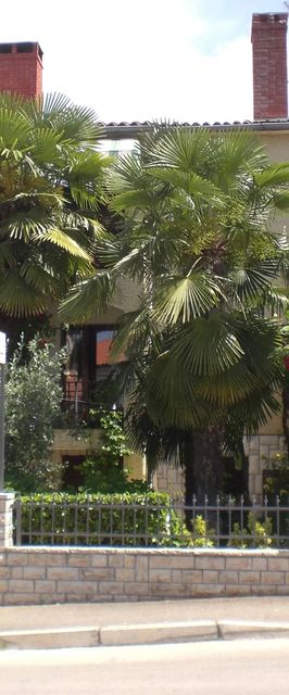 Apartments Boris Poreč