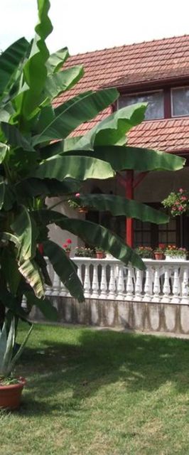 Margit Apartman Siklós