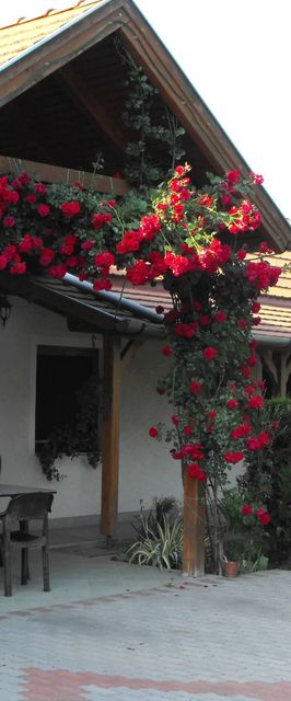 Anita Apartman Kehidakustány