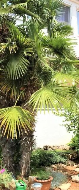 Apartmani Zdravka Vodice