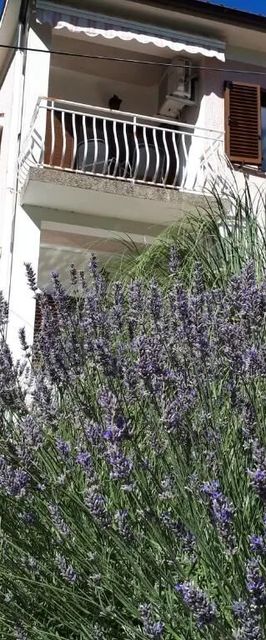 Apartman-Sobe Mikleus Mošćenička Draga