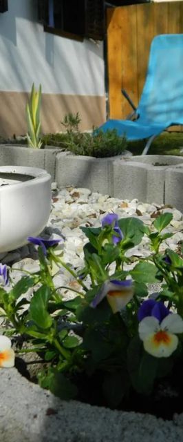 Lackó Kuckó Balatonlelle