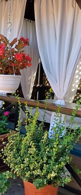 Katalin Apartman Békéscsaba