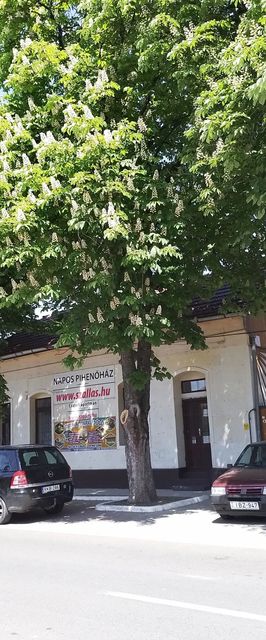 Napos Pihenőház Tiszakécske