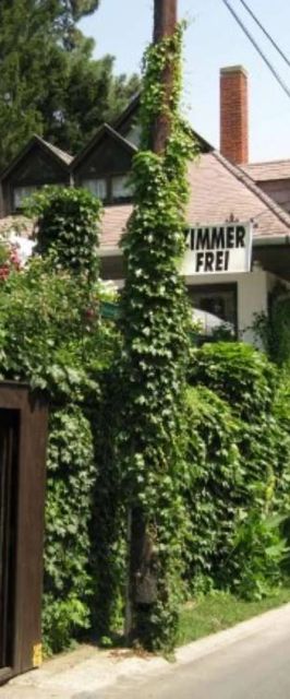 Ház az Árnyas Fák Alatt Badacsony