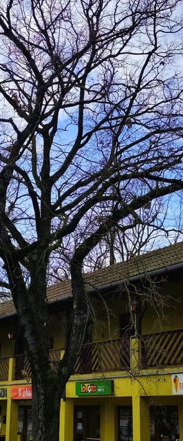 Kastélypark Fürdő Panzió Füzesgyarmat