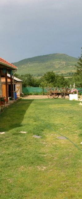 Tulipános Vendégház Golop