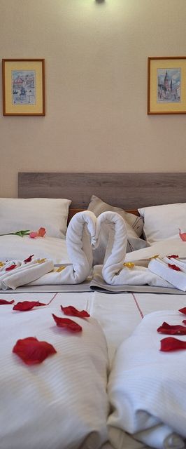 Hotel Unicornis Eger