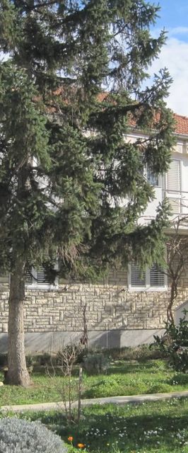 Apartman Irena Puntamika Zadar