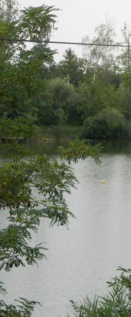 Harcsa Apartman Szolnok