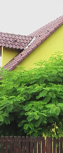 Gyetvai Ház Abádszalók