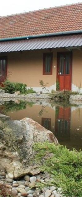 Darázsfészek Vendégház Békéscsaba