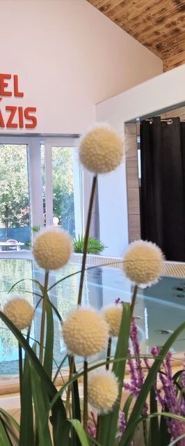 Heléna Hotel & SPA - Étterem Levél