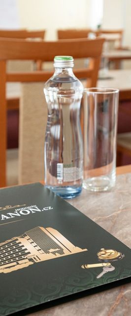 HOTEL PANON Hodonín