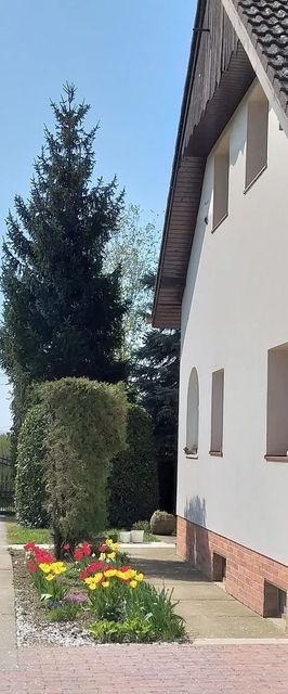 Csicseri Vendégház Diósviszló