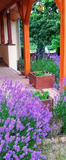 Boglárka Vendégház Nagymákfa Vasvár