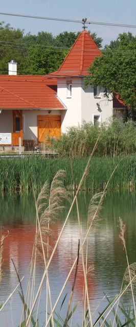 Nagybajcsi Körtefa Vendégház-Apartmanok