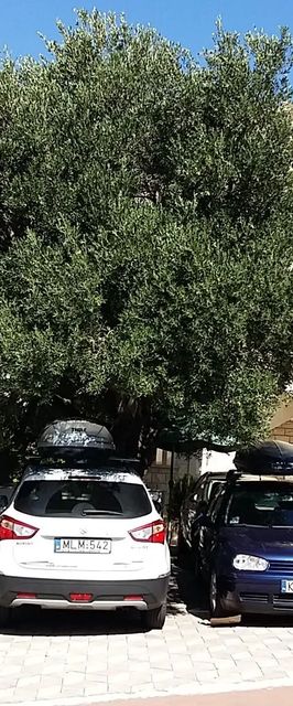 Vila Apartmani Sumic Makarska