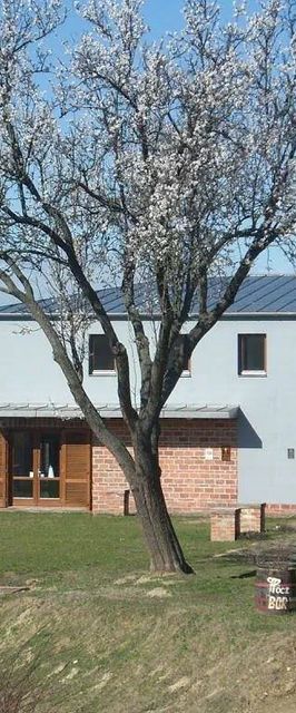 Pócz Pincészet Vendégház Balatonlelle