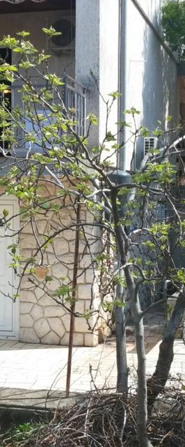 Apartman Popi Klenovica