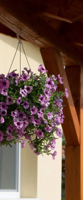 Levendula Vendégház Tiszaszőlős