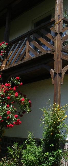 Vadrózsa Vendégház Mátraderecske