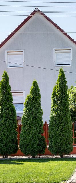 Mackó Apartman Nyíregyháza- Sóstófürdő