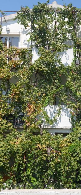 Apartmani Mistral Orebić