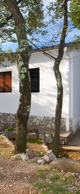 Apartmani Oaza Jadranovo