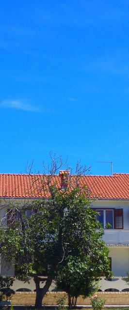 Apartments Vesna Rab