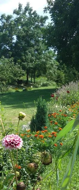 Rendeki Vendégház Csabrendek