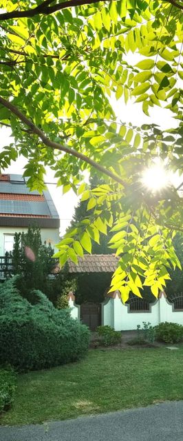 Erzsébet Apartmanház Gyula