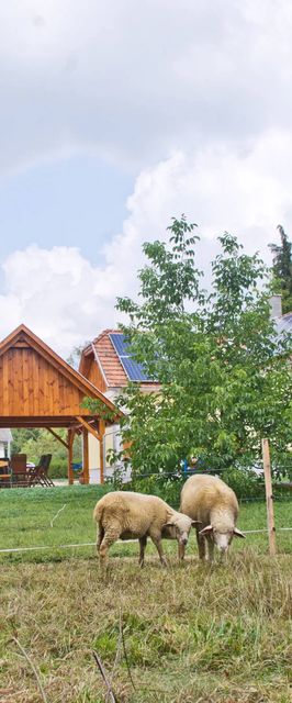 Harmatcsepp Vendégház Kercaszomor