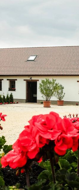 Kőpince Vendégház Bakonyszentlászló