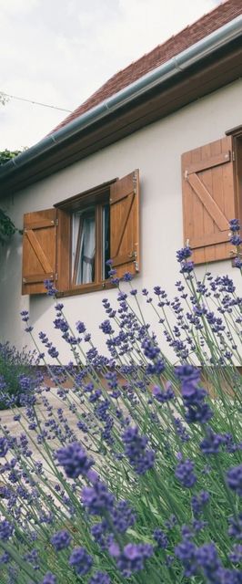 Leven-dülő Vendégház Mozsgó