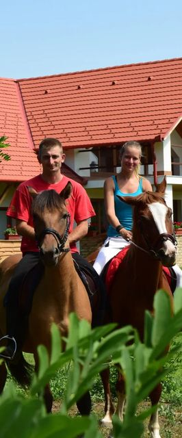 Zöldhalmi Lovas Vendégház Bócsa