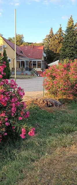 Arcadia Étterem és Vendégház Ábrahámhegy