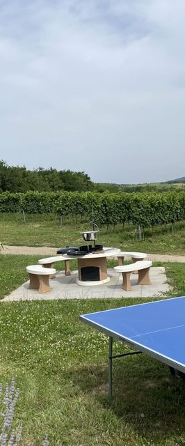 Balatoni Krokodil Vendégház Nemesvita